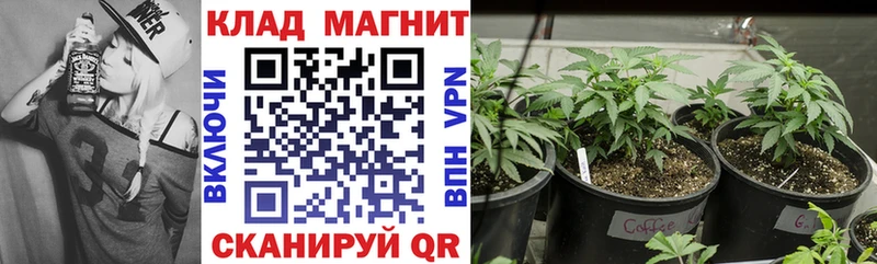 Купить закладку ГАШ  Амфетамин  COCAIN  Лсд 25  Канабис  A PVP  Меф  Ртищево