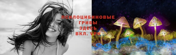 прущие крисы Верея