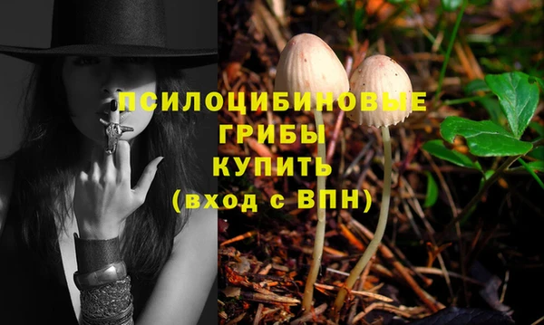 прущие крисы Верея